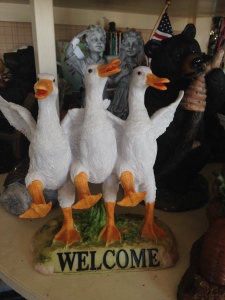 Duckling Welcome